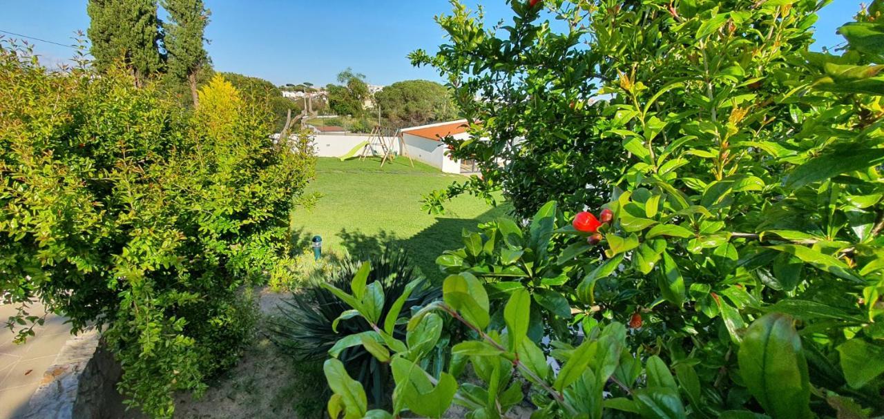 Villa Margarida By Laranjal Rentals アルブフェイラ エクステリア 写真